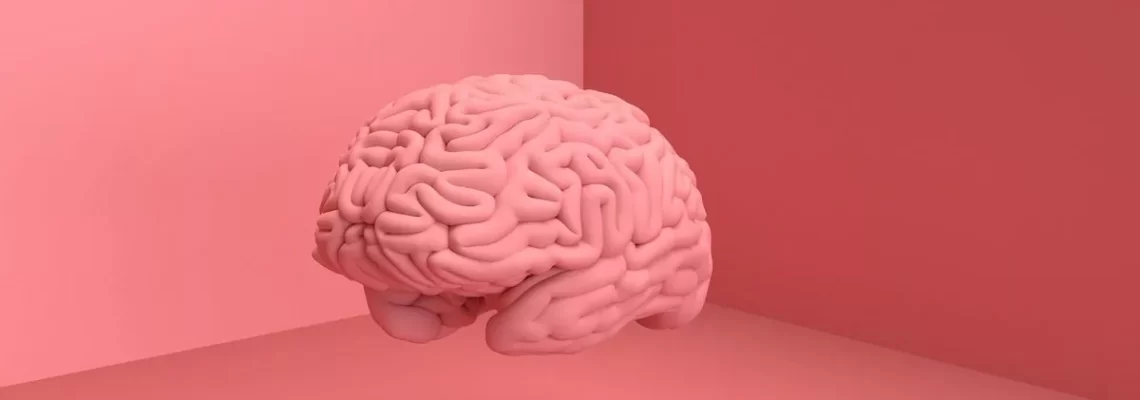 پژوهشی جدید: مغز انسان درحال بزرگ‌ترشدن است