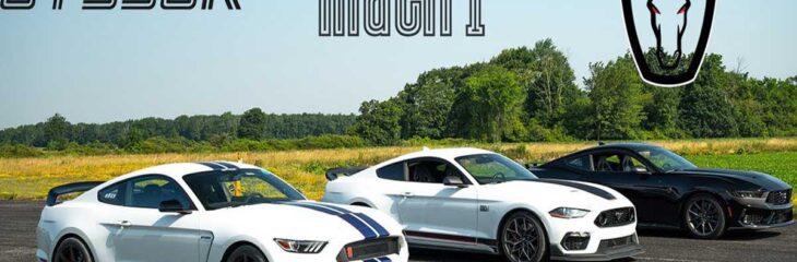 درگ خانوادگی موستانگ‌ها؛ مک‌وان، دارک هورس و شلبی GT350R