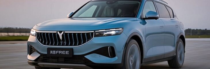 قیمت کارخانه‌ای وویا فری (مرداد ۱۴۰۴) + شرایط ثبت نام و فروش