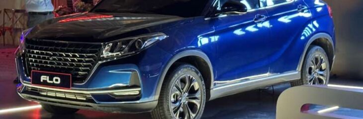 قیمت بازار لاماکو فلو مشخص شد