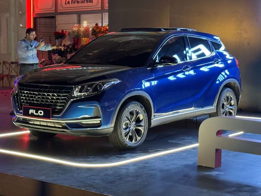 قیمت بازار لاماکو فلو مشخص شد